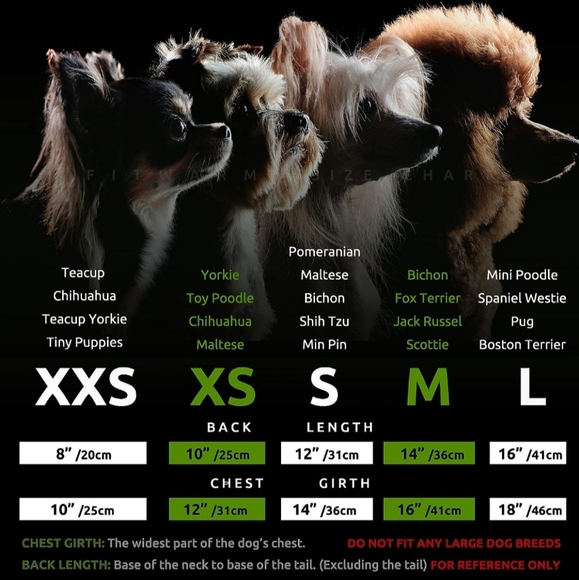 Nwt, new, Medium Dog Dress - Picture 3 of 3